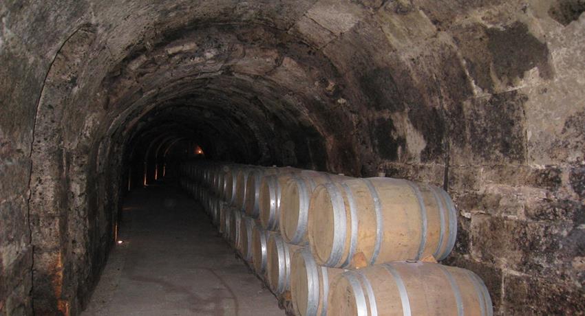 Centenary cava of wine - tiqy, Winery Route to Ribera del Duero