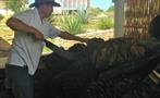 zapotrek mezcal tradition farmer, Tour de Mezcal: Plantación y Degustación